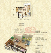 大华铂金华府户型图-武汉搜狐焦点网