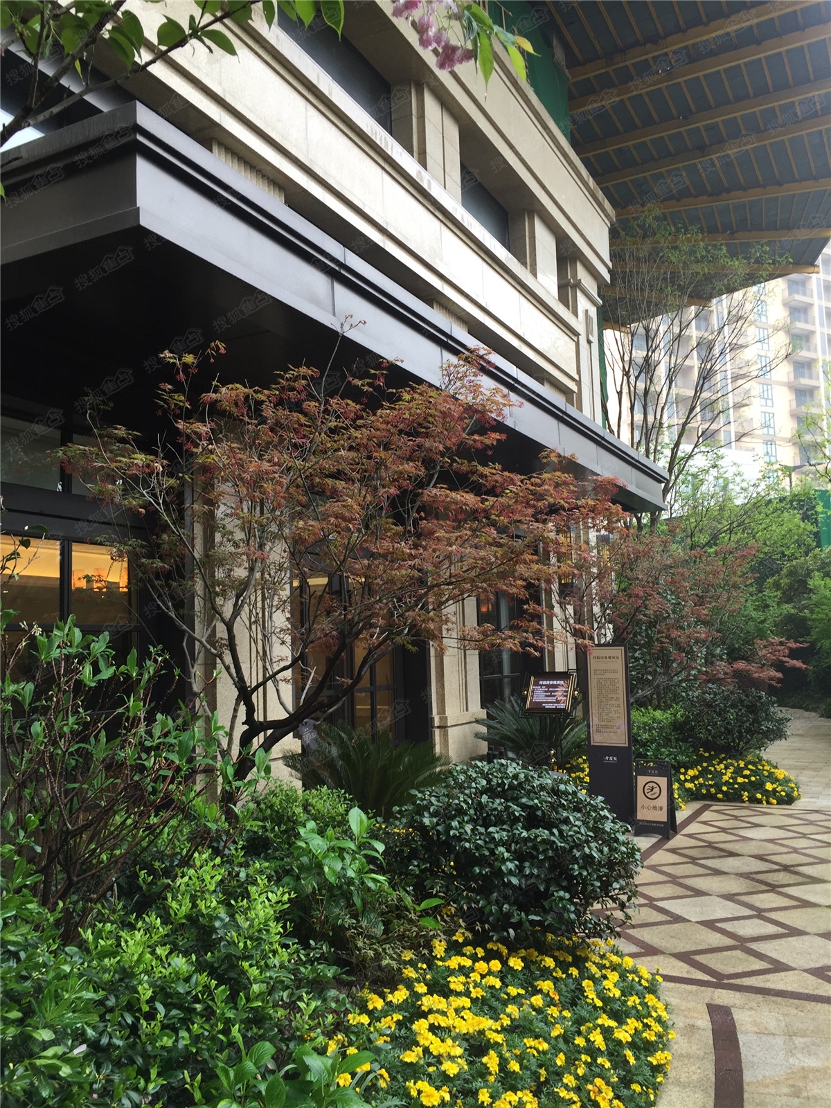 黄龙金茂悦图片_样板间_装修效果图-杭州手机搜狐焦点网