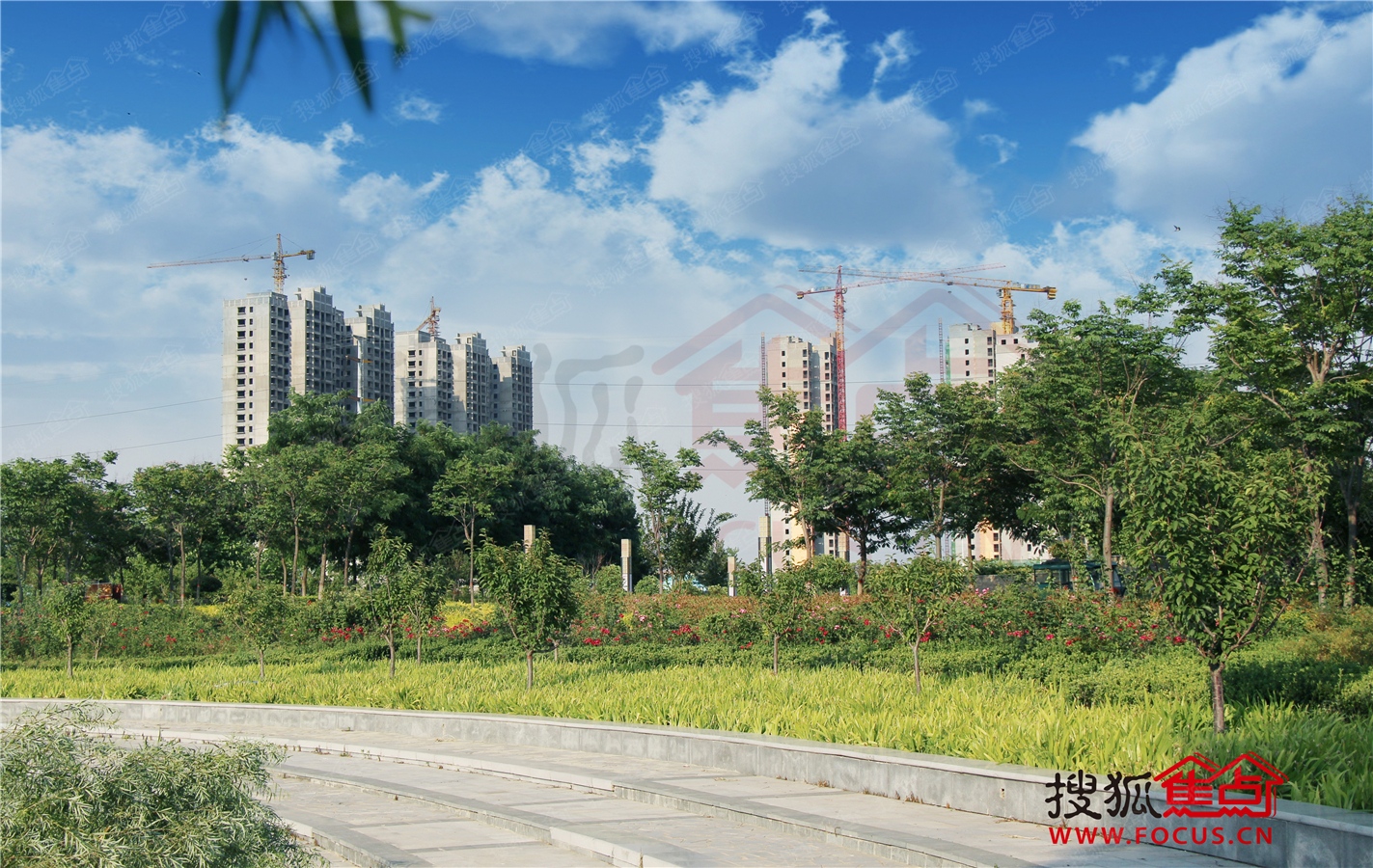 龙湖澜岸图片_样板间_装修效果图-濮阳手机搜狐焦点网