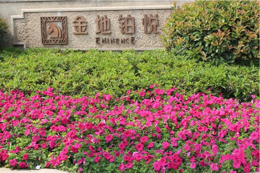 金地铂悦_郑州金地铂悦详情-郑州搜狐焦点网